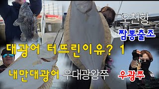 대광어를 터뜨린이유 1/ 우광쭈(우럭,광어,쭈꾸미) 짬뽕출조/ 우대광왕쭈 출조