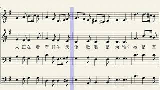 是何婴孩-SATB