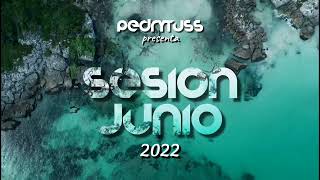 Sesion JUNIO 2022 by Pedro Fernández  (Reggaeton, Comercial, Trap, Flamenco, Dembow, TikTok)