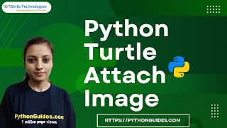 How to attach image in python turtle | Python Turtle attach Image