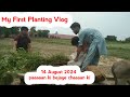 First Vlog of  Planting On 14 August 2024 - Moji Tv