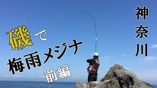 神奈川真鶴半島地磯 メジナ釣り 梅雨グレ攻略 前編 MANCING MANIA JAPAN