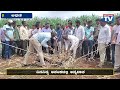 athani breaking huge crocodiles came to the river bank in search of food crocodile national tv