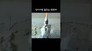 춤신춤앵 김로미 전설의 시작(1) / 벽지가 더 충격적이었다는 #다시보고싶은영상 (2016)