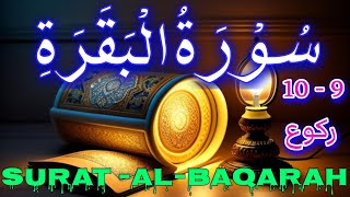 surah baqarah | رکوع 9-10 | Quran recitation really beautiful | سورۃ البقرۃ | surah al baqarah