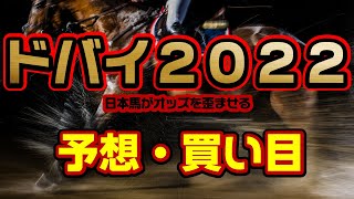 【ドバイ予想2022】日本馬が揃って海外馬のオッズが美味しいのでは？【ゴールデンシャヒーン・ターフ・シーマクラシック・ワールドカップ】