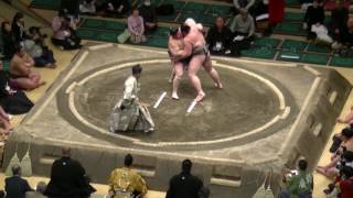 白鷹山-明瀬山/大相撲.2017.1.12(25)/hakuyozan-akiseyama/day5 #sumo