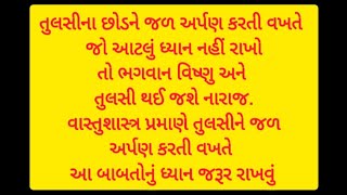 વાસ્તુશાસ્ત્ર પ્રમાણે તુલસીના છોડને જળ અર્પણ કરતી વખતે આ ધ્યાન જરૂર રાખજો નહીં તો તુલસી થશે નારાજ.