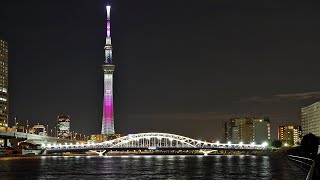 TOKYO SKYTREE Light up Sakura　白鬚橋　隅田川　東京スカイツリー　ライトアップ　桜　『舞』　美しい桜の花びらが舞う　隅田川　2021年　3.01