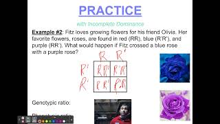 Heredity 3 Complex Inheritance Patterns
