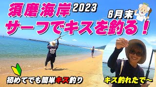 須磨海岸でサーフフィッシング　キスを釣りました