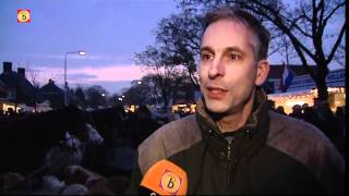 Paardenmarkt in Hedel begonnen [HD]