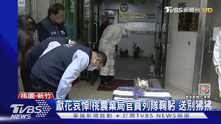 獻花哀悼! 桃農業局官員列隊鞠躬 送別狒狒｜TVBS新聞@TVBSNEWS01