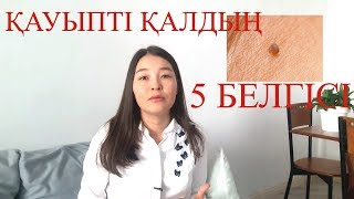 ҚАЛ ҚАТЕРЛІ МЕ? 5 БЕЛГІ ҚАЗІР БІЛІП АЛ                         #1