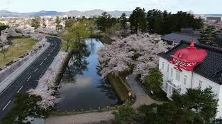 鶴岡公園春爛漫（ドローン撮影）