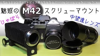 魅惑のM42スクリューマウント～激安中望遠レンズと蛇腹～