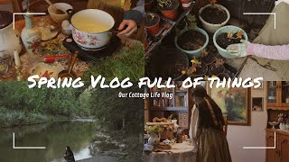 Spring Vlog Full of Things | Cozy and Slow life | 🧵 🪴 🥧