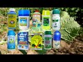 powdery mildew best fungicide powdery mildew control organic and chemical powdery mildew