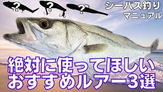 シーバス初心者必見！必須級のおすすめルアー３選！