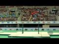 DAUSER Lukas (GER) - 2016 Olympic Test Event, Rio (BRA) - Apparatus Final Parallel Bars