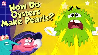 Pearl Formation | How Do Oysters Make Pearls? | The Dr Binocs Show | Peekaboo Ki