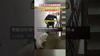 狗子还没洗澡偷跑回家，宠物店老板到家耐心劝导 #狗狗