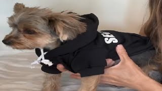 Uteuvili Dog Hoodie Security Dog Sweater Soft Brushed Fleece Dog Clothes Dog Hoodie Sweatshirt Revie