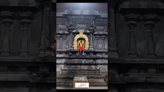 ஆலங்குடி ஆபத்சகாயேஸ்வரர் கோயில்,  குரு பகவான் கோவில்/Aalangudi Guru bhawan Temple. #shortsvideo