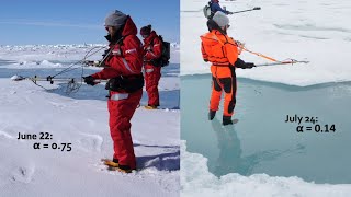 Understanding sea ice's albedo