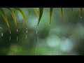 28 Hours Relaxing Music & Rain - Beautiful Piano Music, Background Music, Sleep Music