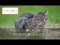 50代万年平社員の俺。本社から左遷されてきた年下上司に資料を手渡すと「凄すぎる…。あなた何者なんですか？」俺「平社員ですが…」→この後、俺の人生が180度変わることに…