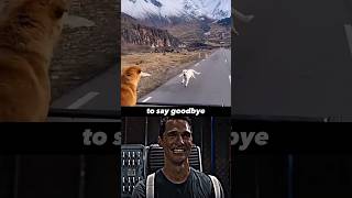 Dog Sad Moments (SAD GOODBYE) ❤️‍🩹