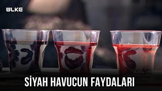 Siyah Havuç Nerelerde Kullanılır?🥕 - Topraktan Sofraya