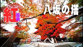 【八坂の塔の紅葉（京都東山）】八坂の塔は、中に入っても紅葉が美しい