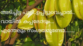 നല്ല നാടൻ പുളി അച്ചാർ😋//Bilimbi Pickles//JB Recipes Malayalam