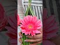 Enhance your spaces and celebrations with this beautiful and simple floral arrangement   #flowers