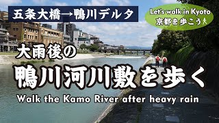 Kyoto Japan【4K】鴨川河川敷を歩く-2（五条大橋→松原橋→四条大橋→三条大橋→丸太町橋→賀茂大橋→鴨川デルタ）Walk the Kamo River after heavy rain