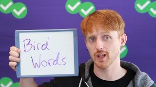 TOEFL Tuesday: Bird Words