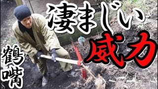 山開拓・土地整地・田舎暮らし＃119｜ツルハシの威力に竹の根も一発切断！