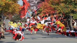 20151101【ＨＤ・原画４Ｋ】ドリーム夜さ来い祭り2015（ＣＨＩ よ ＲＥＮ 北天魁・ダイバーシティ東京会場）