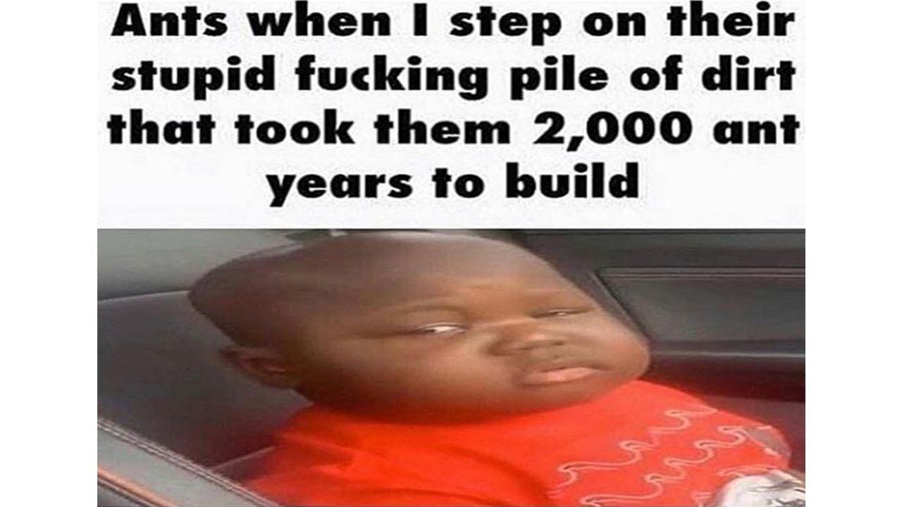 Ultimate Dank Memes Compilation 2019 V5 Best Memes