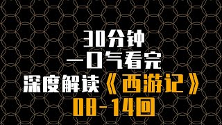 30分钟深度解读《西游记》一口气看《西游记》 -西游记系列 原著8-14回  #一口气看完文化经典  #一口气看懂四大名著 #西游记 #名著