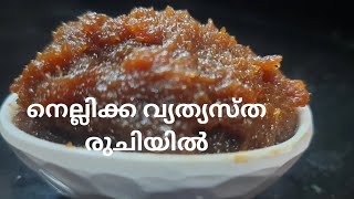 നെല്ലിക്ക ഇങ്ങനെ ഉണ്ടാക്കി കഴിക്കൂ കിടിലൻ രുചിയാണെ 👌💯nellikka/amla recipie /ABHI AND ATHU