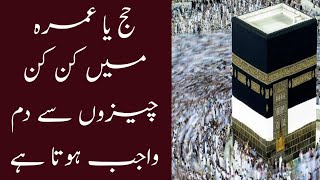 haaj ya omrah me kab dam wajib hota he|حج یا عمرہ میں کن چیزوں سے دم واجب ہوتا ہے|Mufti Aijaz Malik