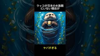 ラッコが日本の水族館にいない理由がヤバすぎる #雑学 #動物 #ミステリー