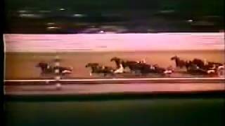 1984 Yonkers Raceway ON THE ROAD AGAIN Cane Pace 3rd Elimination