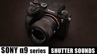 【SONY】 α9 Series Shutter Sounds - α9, α9II ｜ シャッター音比較