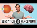 Sensation vs. Perception: What's the Difference?