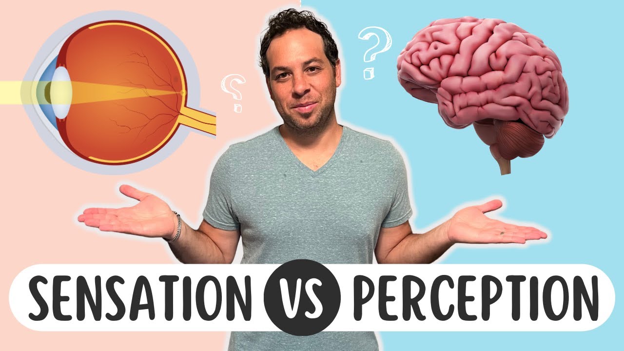 Sensation Vs. Perception: What's The Difference? - YouTube