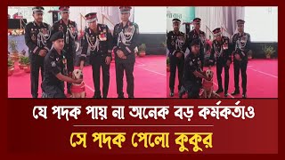 বীরত্বপূর্ণ কাজের জন্য কুকুর পেলো র‍্যাব মহাপরিচালক পদক | Rab Dog Squad | News | Ekattor TV